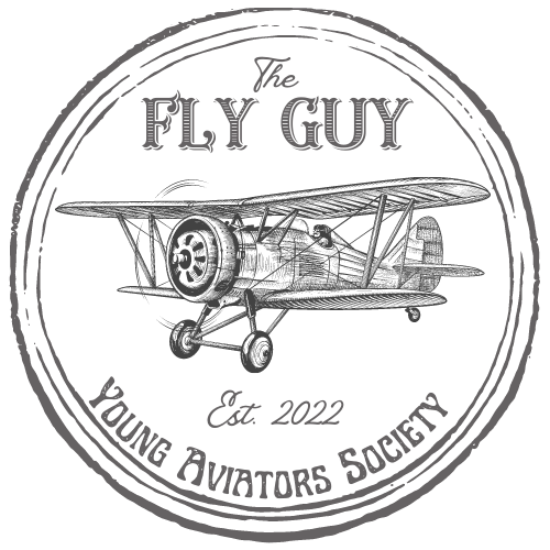 The Fly Guy